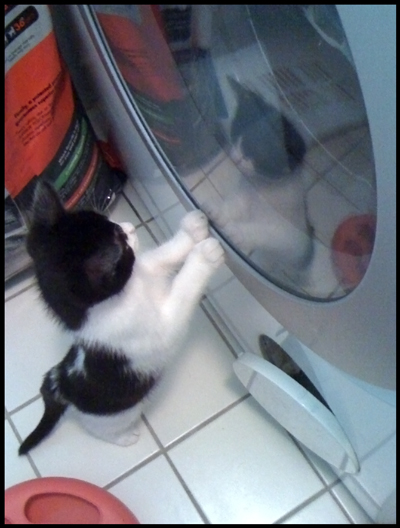 Laundry Helper.jpg