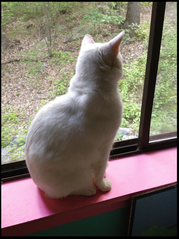 Looking out the windowRO.jpg