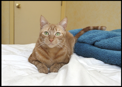 Lounging Lady copy.jpg