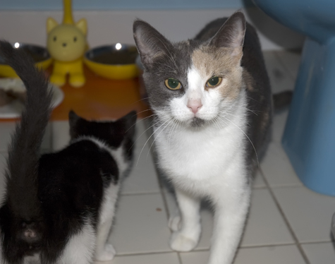 Mama and Spyder.jpg