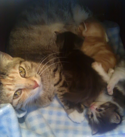 Mama is sick copy.jpg