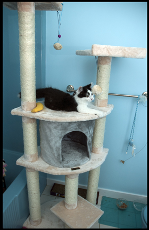 Man on his tower.jpg