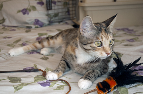 Mazie Relaxed.jpg