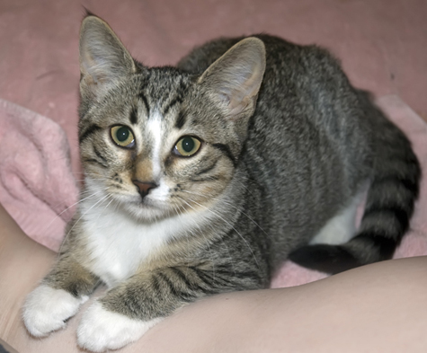 Millicent_2 copy.jpg