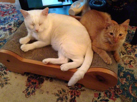 Milo and Jackson R.Olson.jpg