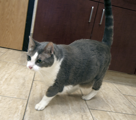 Molly full body.jpg