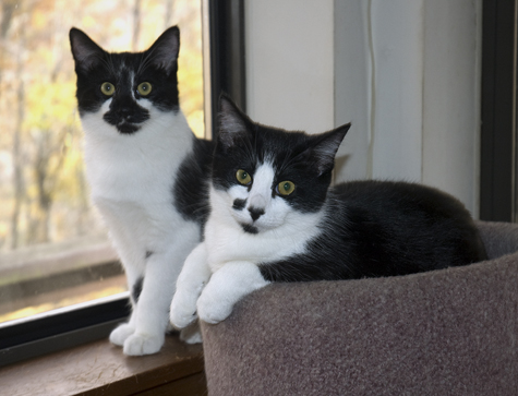 Moonie and Patty sm.jpg