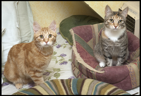Mother and Son.jpg