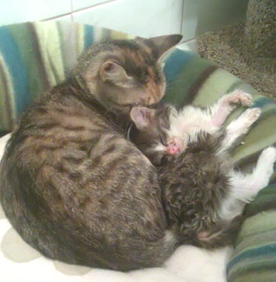 Motherly Love.jpg