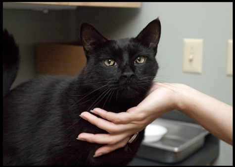 Mr Big with Hand.jpg