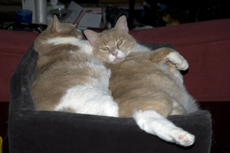N and N.jpg