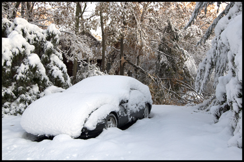 Neighbors Car.jpg