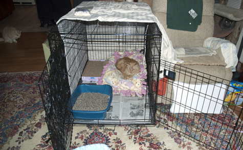 New Temp Home.jpg