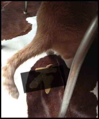 Nicky crapping copy.jpg