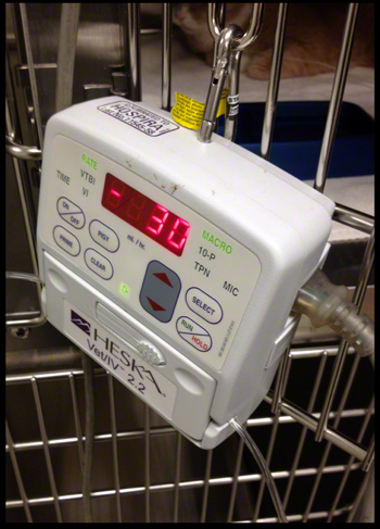 Nicky on IV.jpg