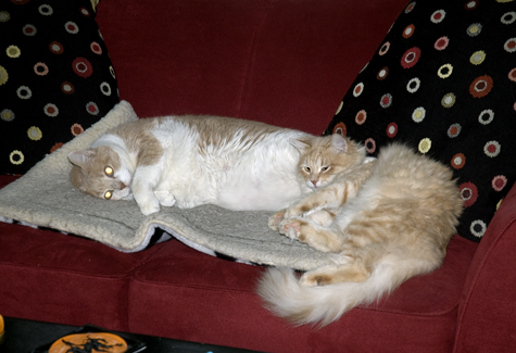 Nora and Blitz.jpg
