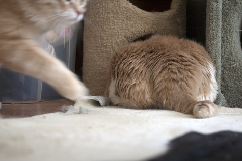 Noras Butt.jpg