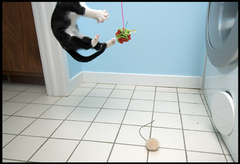 Off with his head.jpg