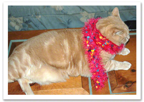 Oliver in Scarf R Olson.jpg