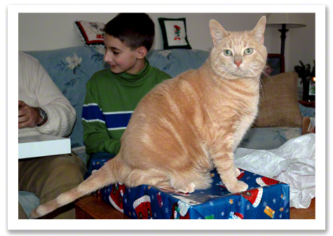 Oliver on the Gift.jpg