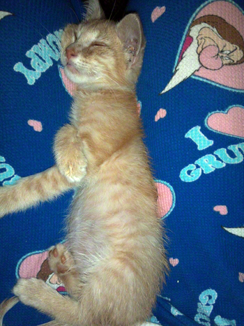 On Marias Lap.jpg