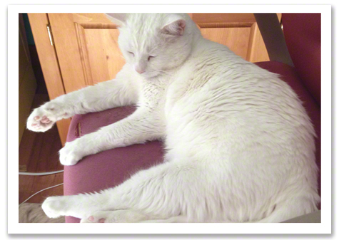 On my Chair R Olson copy.jpg