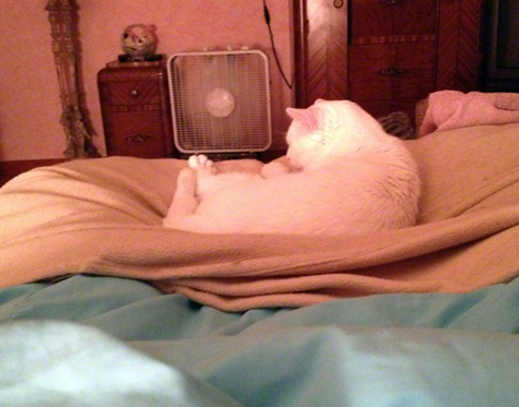 On the bed with Jxn.jpg