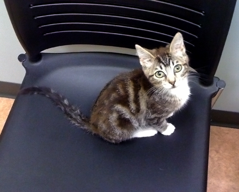 On the chair.jpg