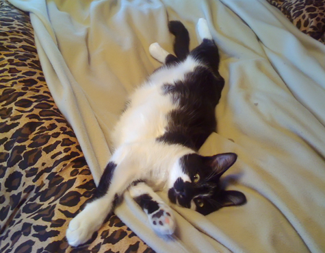 One Pink Toe.jpg