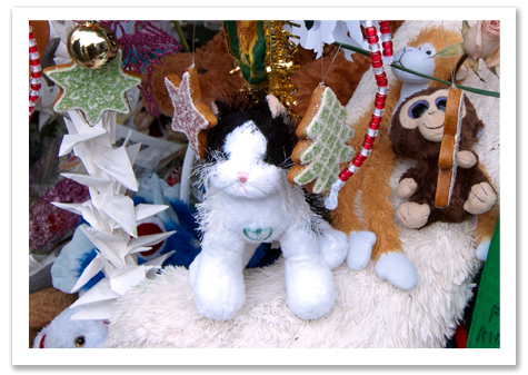 Our Kitty in Memorial R.Olson .jpg