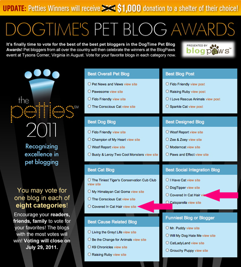 Pettie Award Finalists copy.jpg
