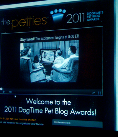 Pettie Screen.jpg