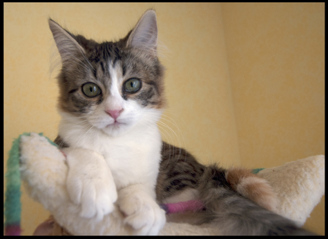 Polly Portrait_c.jpg