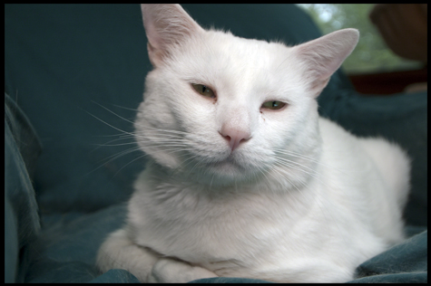 Pondering things_jackson.jpg