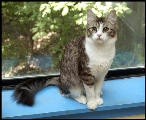 Portait of Polly.jpg