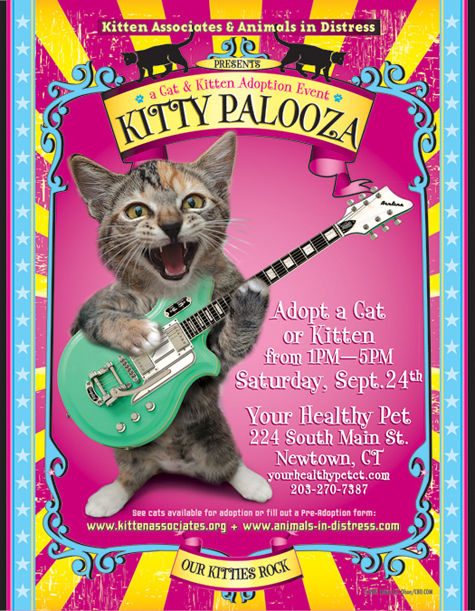 Poster Version B_8.5 x 11_475.jpg
