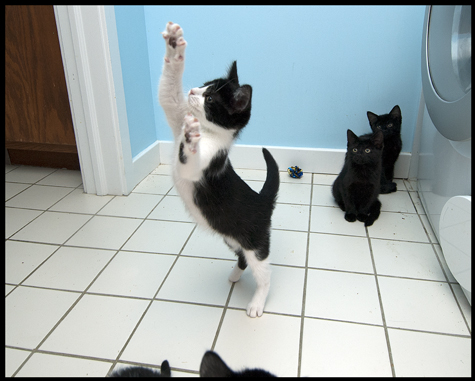 Reach for the Stars.jpg