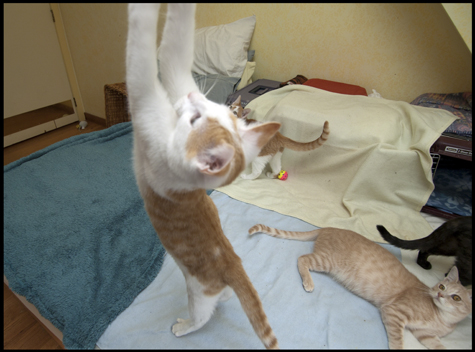 Reach for the Stars.jpg
