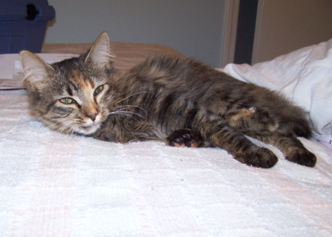 Rest on the bed.jpg