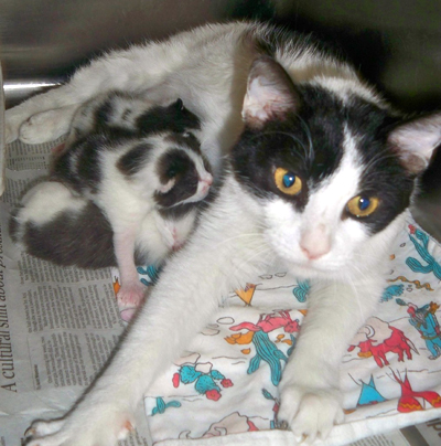 Second Blk-white mama.jpg