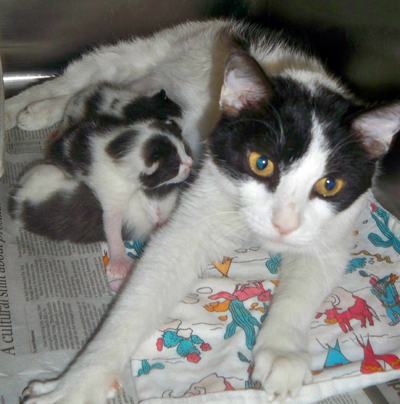Second Blk-white mama.jpg