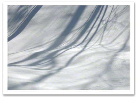 Snow Shadows 2011 R.Olson B1.jpg