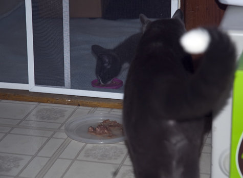 Socks Tail Pouff.jpg