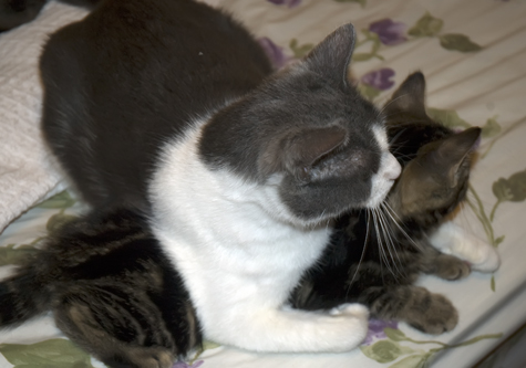 Still Hugging.jpg