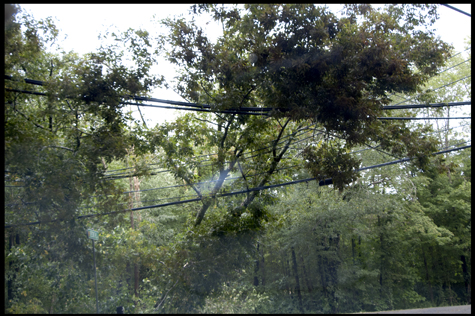 Storm damage.jpg