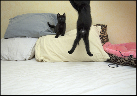Super stretch.jpg