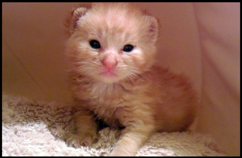 Teddy 9.25.jpg