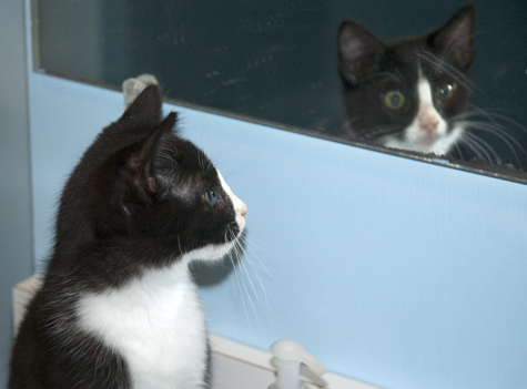 The Man in the Mirror copy.jpg