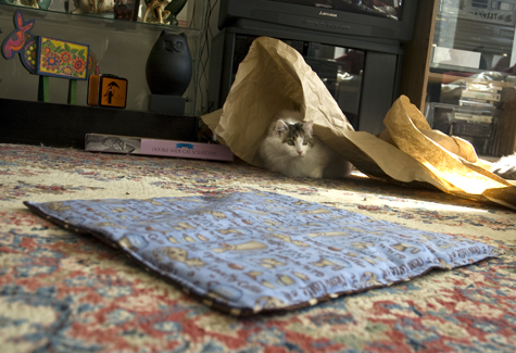The Mat Arrives.jpg
