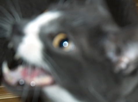 The Meeting Teaser.jpg